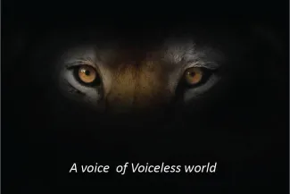 Voiceless world