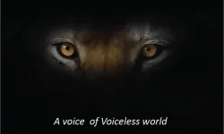 Voiceless world