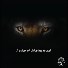 Voiceless world