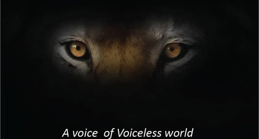 Voiceless world