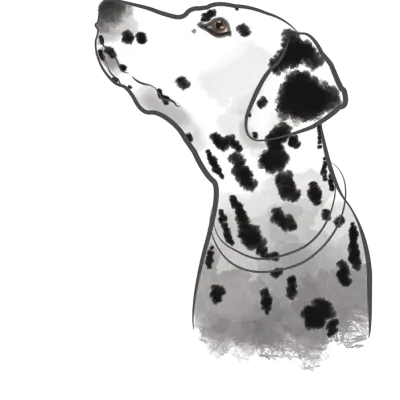 Design Dalmatian 1 dalmatian_1