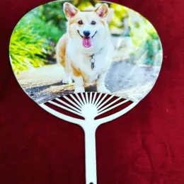 Hand Fan