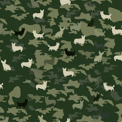 Design Corgi Army 1 loreng